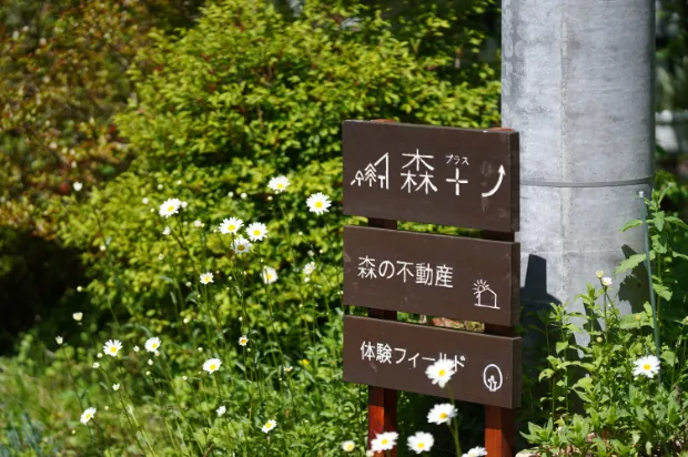 森プラス不動産