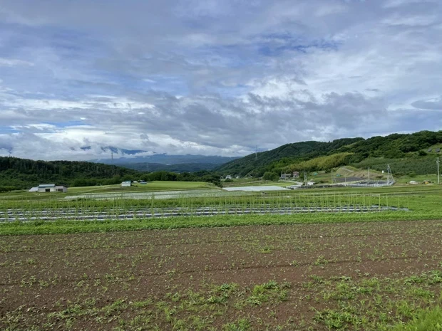 森を拠点に働き暮らす
