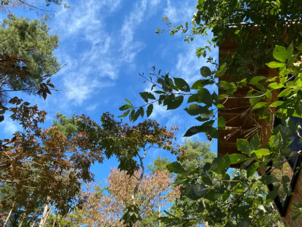 森を拠点に働き暮らす