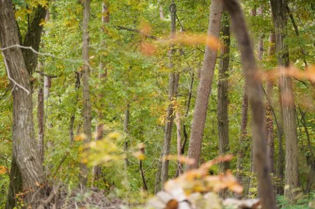 森を拠点に働き暮らす