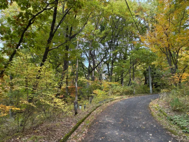 森を拠点に働き暮らす