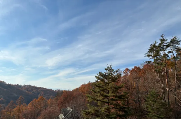 別荘地体験ゲストハウス